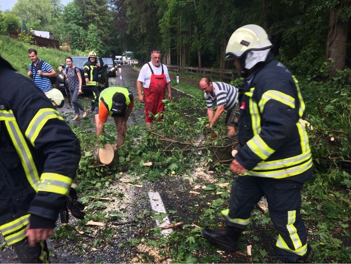 Sturmschaden 06 2017